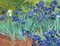 Diamond Painting Kit – Van Gogh “Irises” 5D Full Drill DIY Art, 12×16 in (30×40 cm), Adult & Teen Craft & Home Decoration Gift